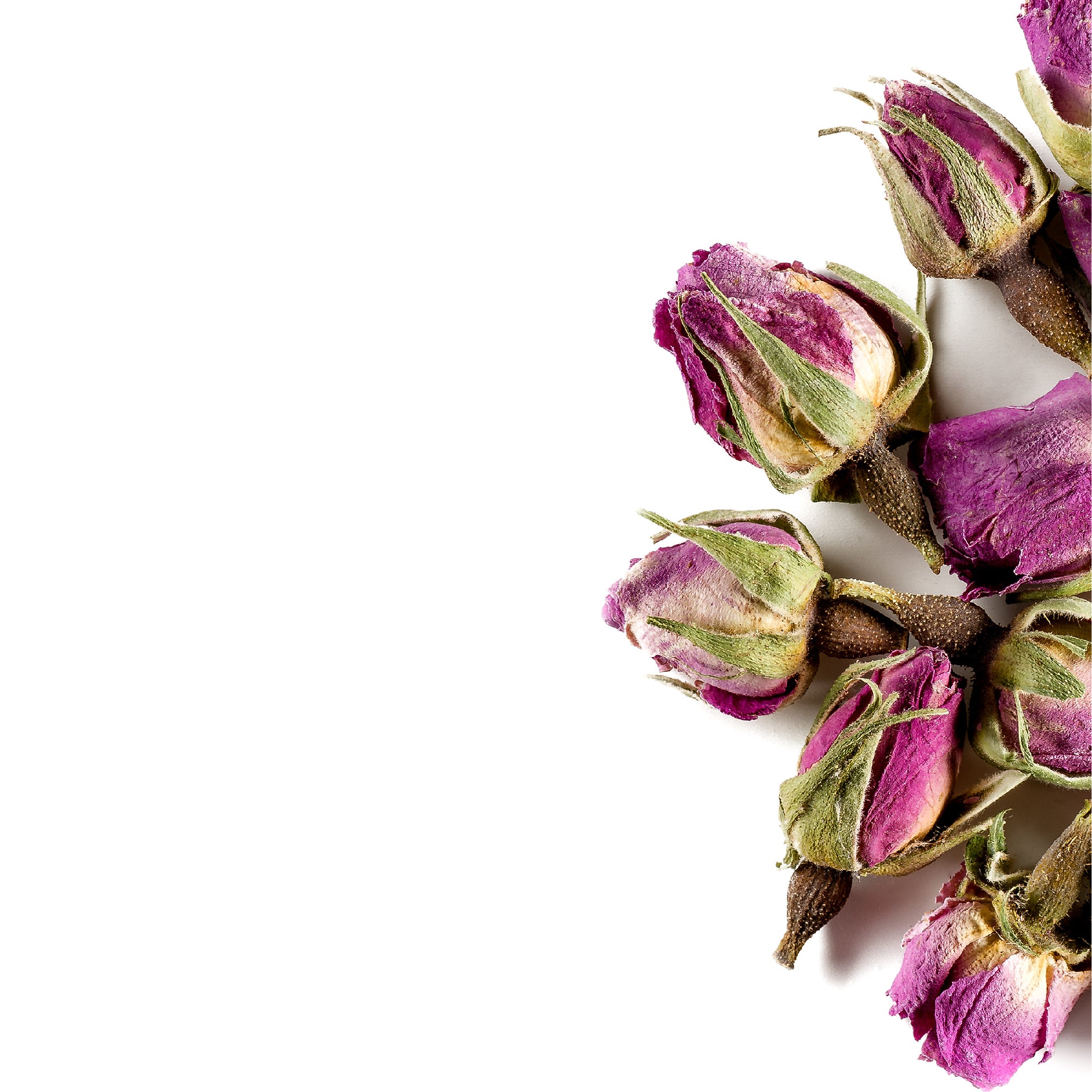 Acquista 2023 FullChea Boccioli di rosa essiccati 114g Tè di fiori secchi  con boccioli di rosa di qualità alimentare premium